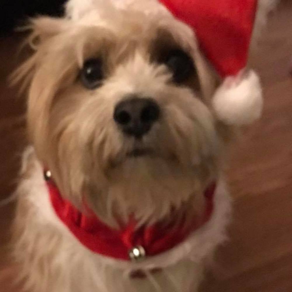 Meet your Posher, Karen